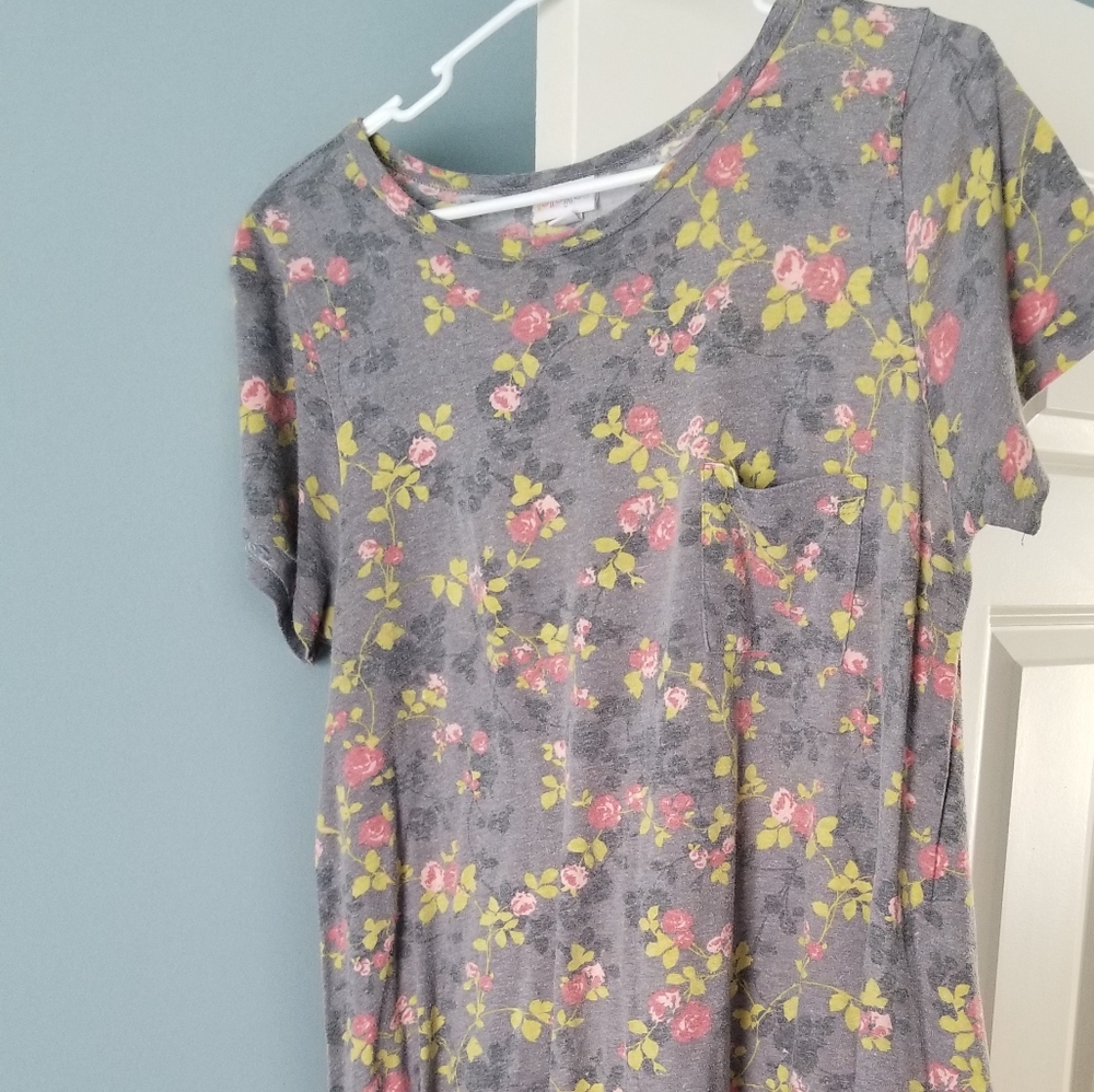 LulaRoe Carly Dress L